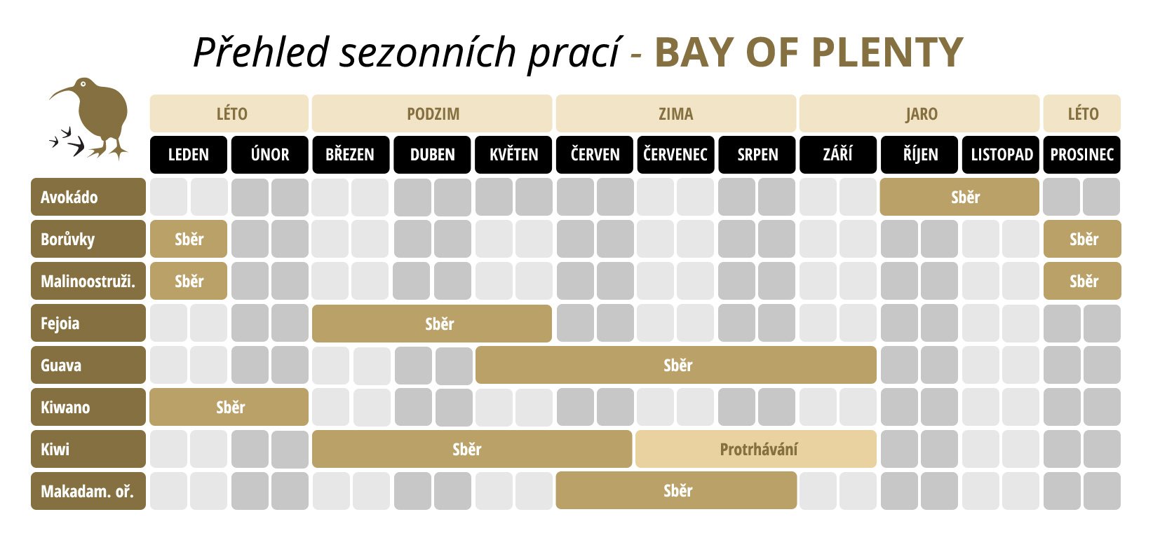 BAY OF PLENTY