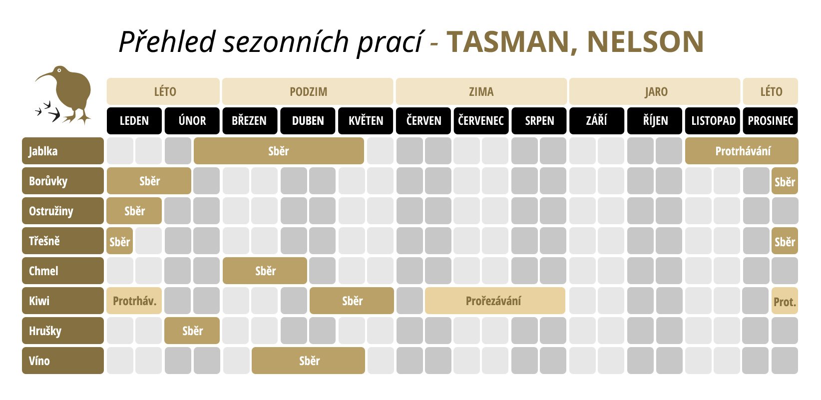 TASMAN, NELSON